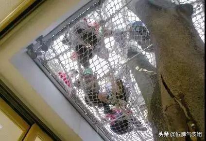 尊重和關愛都在細節里，日本幼兒園的設計了解一下