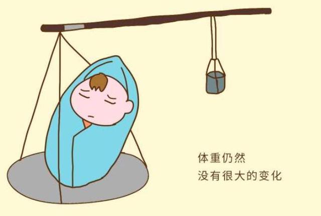 每次間隔3~4小時才喂輔食是錯誤的做法