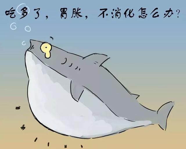 每次間隔3~4小時才喂輔食是錯誤的做法