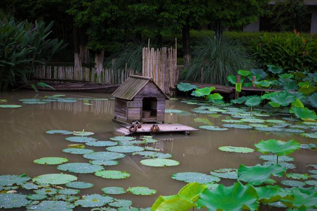 江浙滬暑假去哪兒玩？包郵區自駕兩個小時，親子旅行目的地推薦