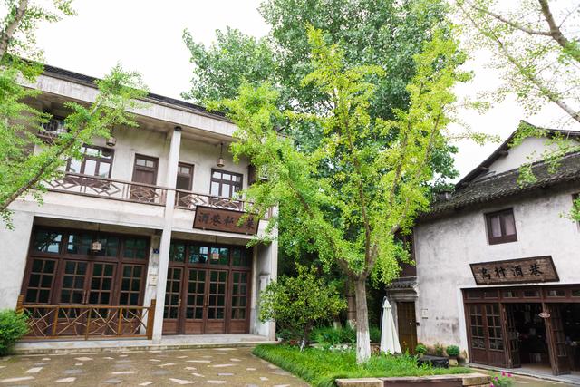 江浙滬暑假去哪兒玩？包郵區自駕兩個小時，親子旅行目的地推薦