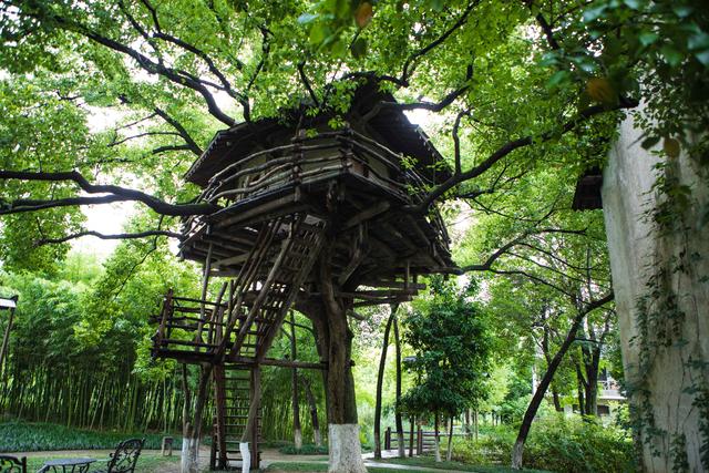 江浙滬暑假去哪兒玩？包郵區自駕兩個小時，親子旅行目的地推薦