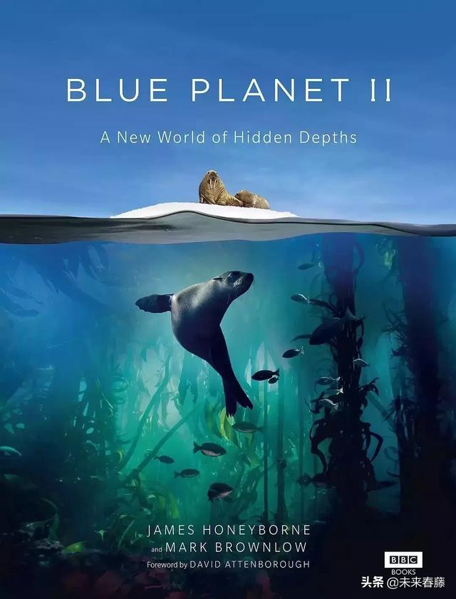 暑期給孩子的10部BBC神級地理紀錄片，讓孩子坐地日行八萬里