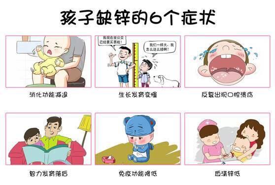 寶寶夏日補鋅 寶媽必學會5款經典菜式