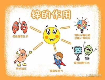 寶寶夏日補鋅 寶媽必學會5款經典菜式