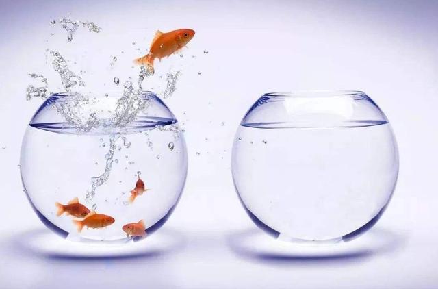 警惕：孩子進入叛逆期，父母別太過於控制，請了解下「魚缸法則」