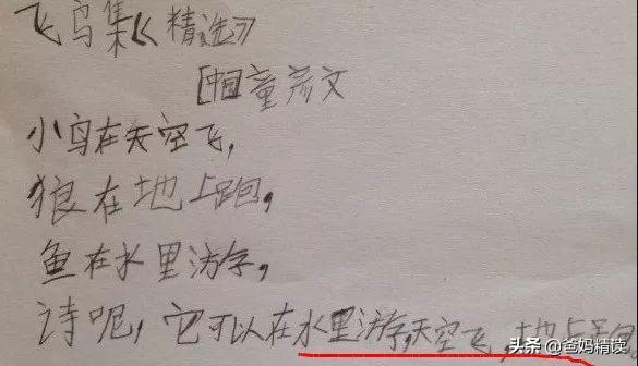 曾經厭學的武亦姝和鄭淵潔：極致的愛，造就出眾的孩子