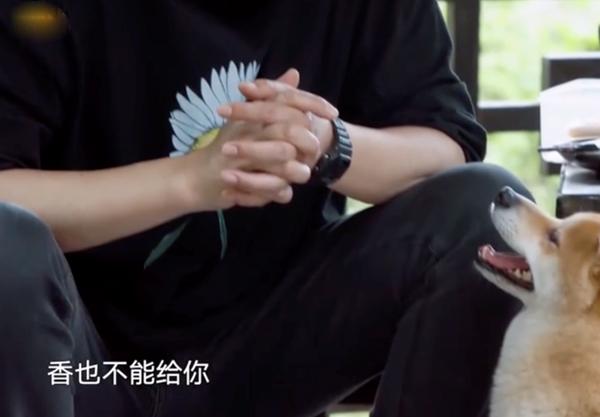 《嚮往的生活》到底隱藏了多少大廚？這些嘉賓露廚藝絲毫不輸黃磊