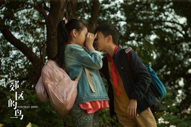 入局暑期檔！李安兒子主演《郊區的鳥》定檔8月30日