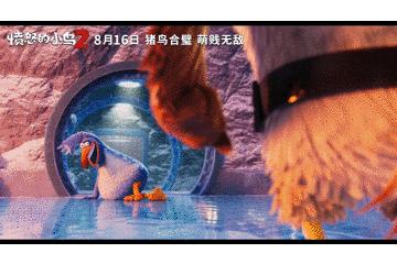 《憤怒的小鳥2》8月16日上映 這可能是今夏最爆笑的電影了