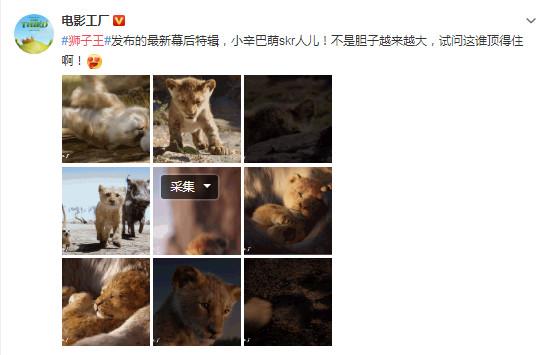 迪士尼再創新作丨Simba獅子王強勢回歸，迪士尼榮耀之作