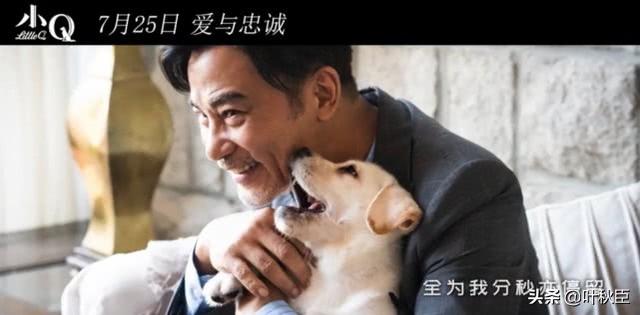 每次看狗狗電影都想飆淚，任達華和梁詠琪這部導盲犬電影又要淚崩