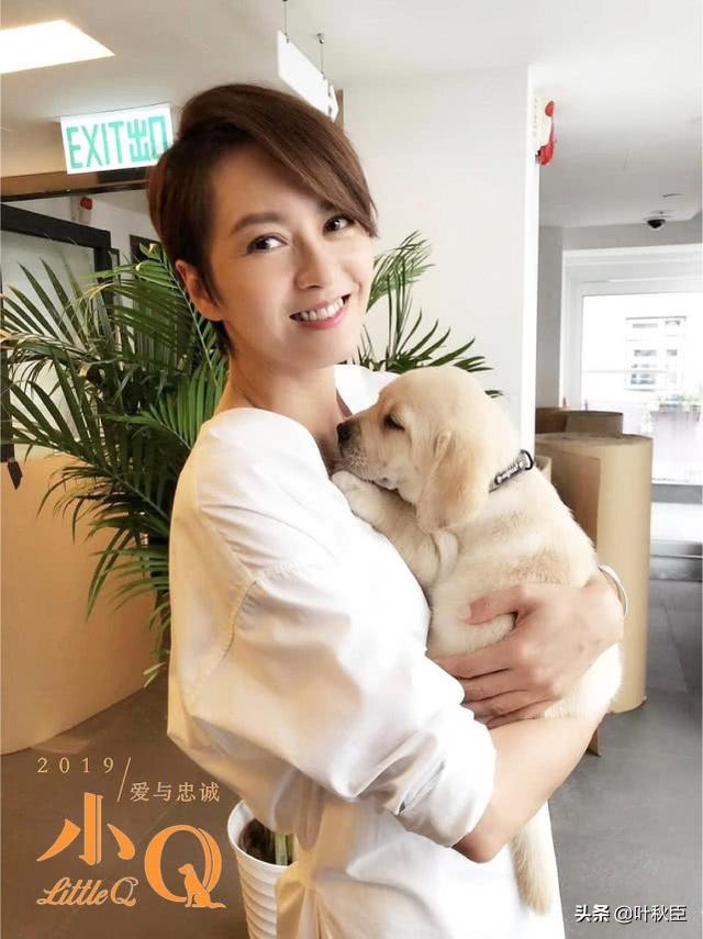 每次看狗狗電影都想飆淚，任達華和梁詠琪這部導盲犬電影又要淚崩