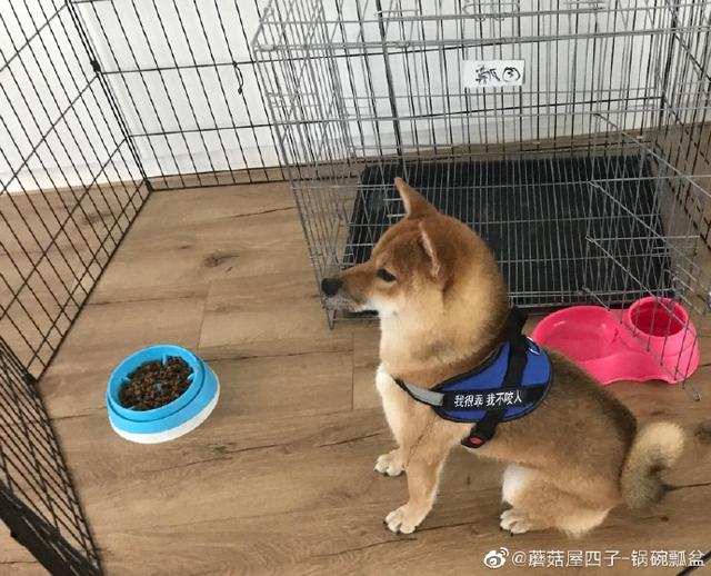 《嚮往的生活4》這麼快就預定一嘉賓？網友：子承父業沒毛病