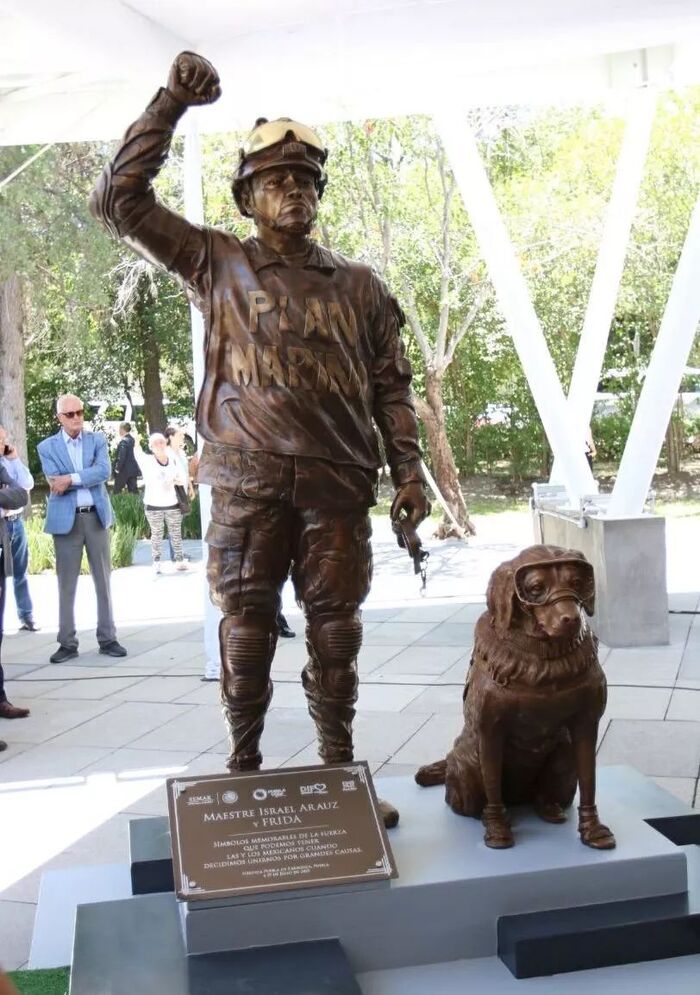 任務結束！10歲搜救犬終退休　訓練員把裝備「換成玩具」：你值得幸福
