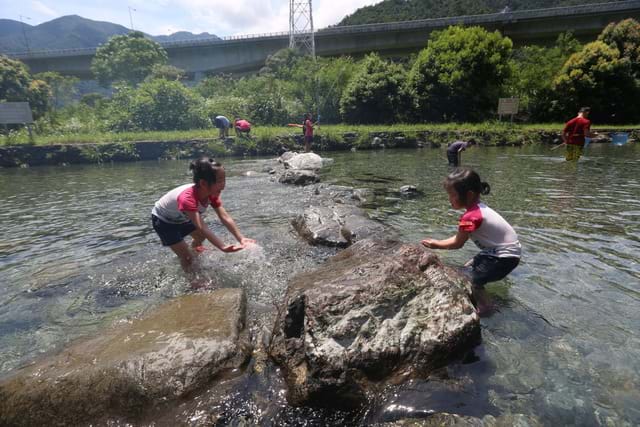 宜蘭「低水溫14度野溪」超消暑　「免費又好玩」夏天也可以很舒適