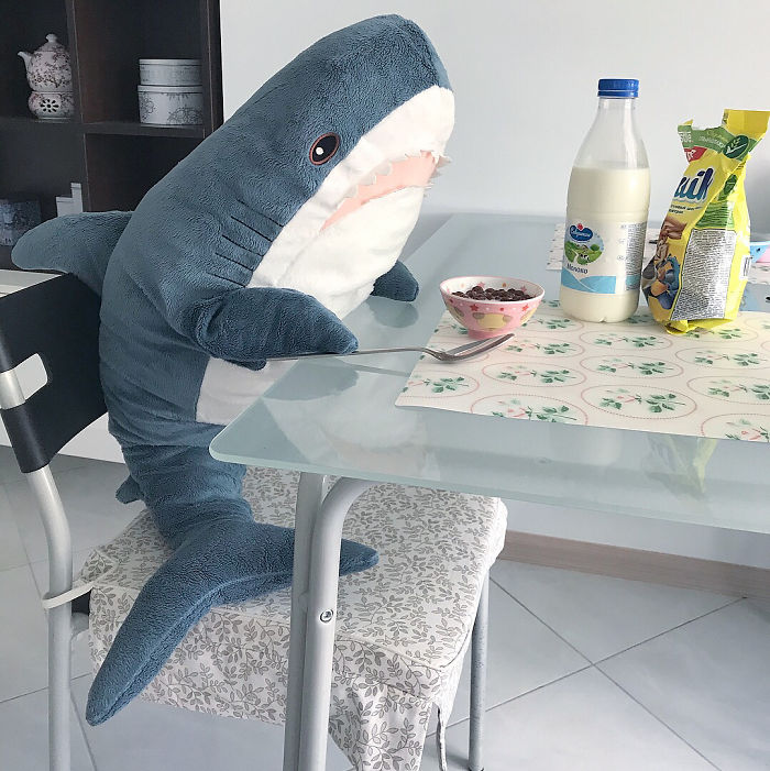 她用洗衣機「洗IKEA鯊魚進」下場超崩壞　烘乾後「呆萌小鯊→啤酒肚大叔」網笑：更療癒XD