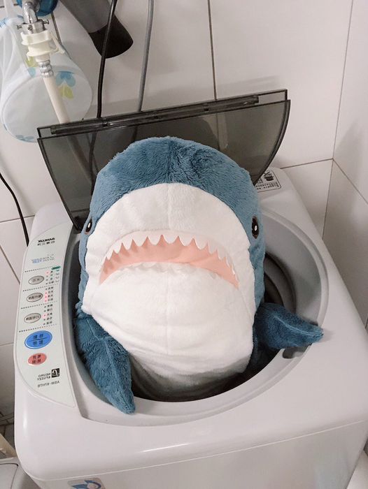 她用洗衣機「洗IKEA鯊魚進」下場超崩壞　烘乾後「呆萌小鯊→啤酒肚大叔」網笑：更療癒XD
