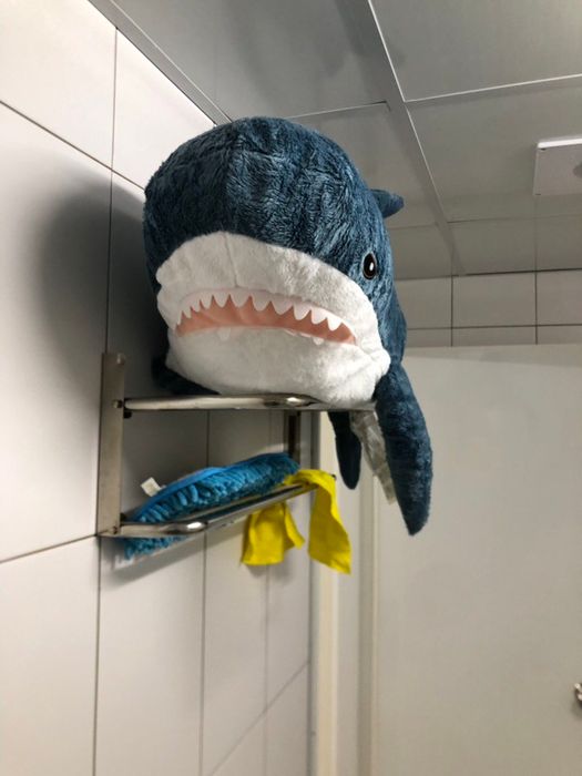 她用洗衣機「洗IKEA鯊魚進」下場超崩壞　烘乾後「呆萌小鯊→啤酒肚大叔」網笑：更療癒XD