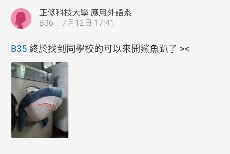 她用洗衣機「洗IKEA鯊魚進」下場超崩壞　烘乾後「呆萌小鯊→啤酒肚大叔」網笑：更療癒XD