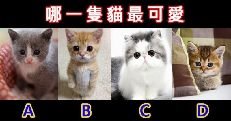 超准！測出你天生具備哪種魅力！