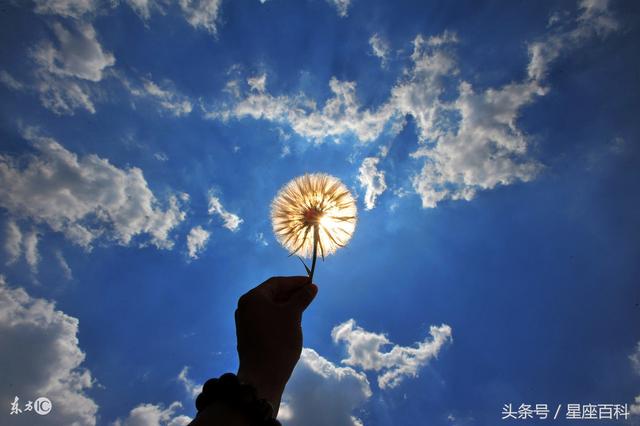「一秒變花痴」！12星座女遇到怎樣的男生會被吸引！    