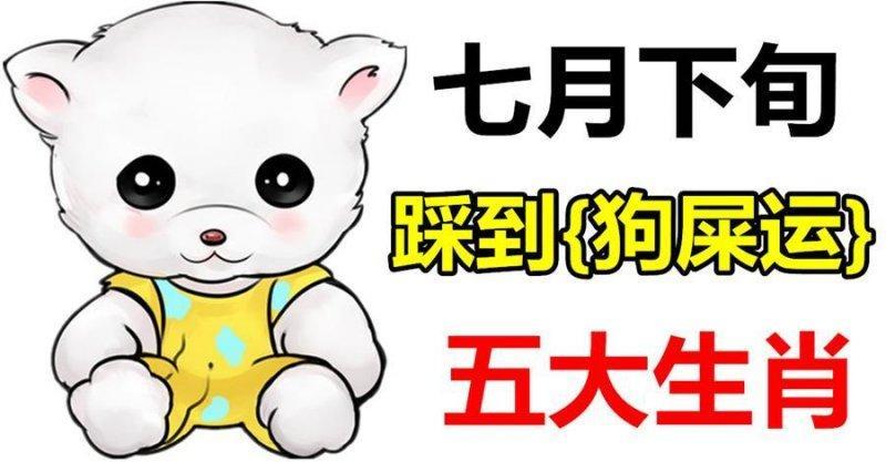 七月下旬，踩了狗屎運的5大生肖