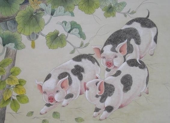 今天過後屬兔狗龍的人，催旺全家財氣～七月發到十二月 