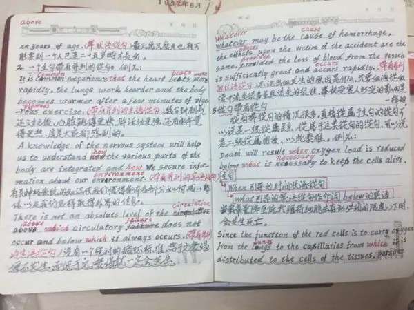 81歲學霸阿嬤「精通5國語言」大學全科滿分畢業！看到她的「超完整筆記」讓全球大學生慚愧不已！
