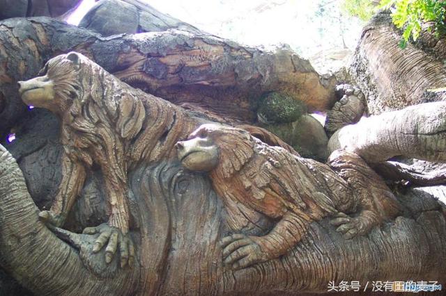 農夫上山砍柴，看到前面一個巨大的身影，仔細一看後趕緊下山叫人！
