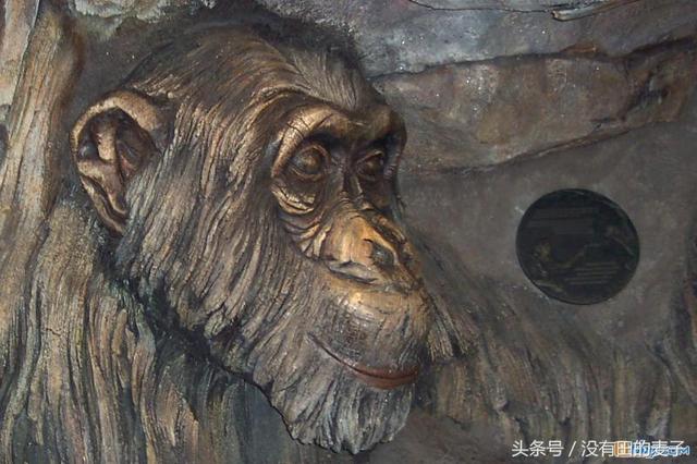 農夫上山砍柴，看到前面一個巨大的身影，仔細一看後趕緊下山叫人！