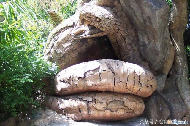 農夫上山砍柴，看到前面一個巨大的身影，仔細一看後趕緊下山叫人！