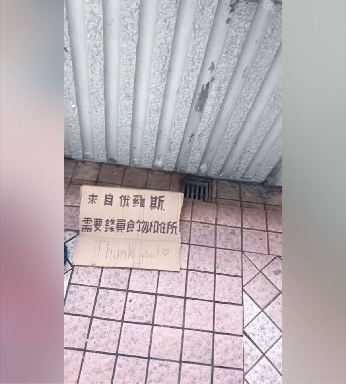 絕美金絲貓妹妹！街頭賣藝籌錢…一看「神扯正臉蛋」呼吸都停了 眾人歪：快幫她