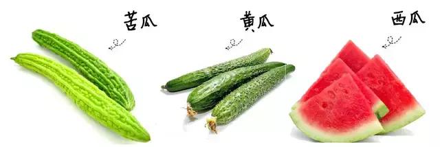 身體不同部位的出汗暴露不同的健康問題