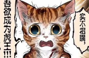 漫畫佳作：《貓成虎》，弱小可憐又無助的小貓想變成猛虎