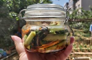 奶奶做的腌黃瓜，一次做20斤都不夠吃，「它」才是秘方