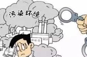 因為乾了這件事，林某方獲刑！