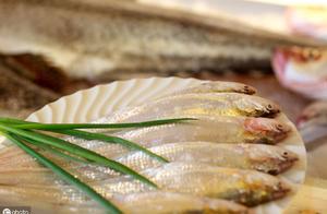 《隨園食單》刀魚二法