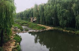 昨夜泰安最大降雨量出現在泰山景區下港鄉谷山村