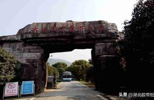 大洪山風景區之——大口國家森林公園