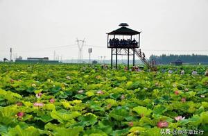 濟南章丘民間流傳了600多年的八大景，你都知道在哪嗎