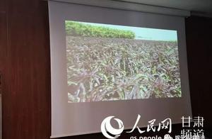 千年古縣榆中首次亮相浪漫之都巴黎