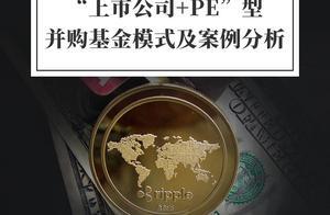 「上市公司+PE」型併購基金模式及案例分析