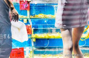 北戴河劉莊夜市：全是外地遊客，買東西對半砍價，海鮮太貴吃不起