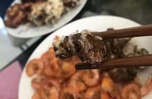 阜陽人開始吃知了猴了！一個8毛錢，比小龍蝦還貴……
