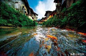 自駕福建鯉魚溪，福建最美鄉村，福建十大旅遊風景區