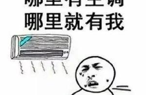 【大暑】高溫高濕，上蒸下煮模式咋樣！