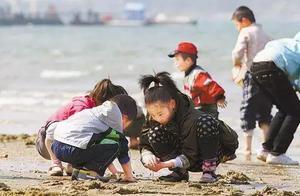 大連哪些地方能趕海？手把手教你怎麼趕海......