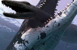 史前海洋巨獸滄龍是怎樣的生物？它們的體型有多大？