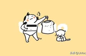 自從養了貓，我每天都想果奔……